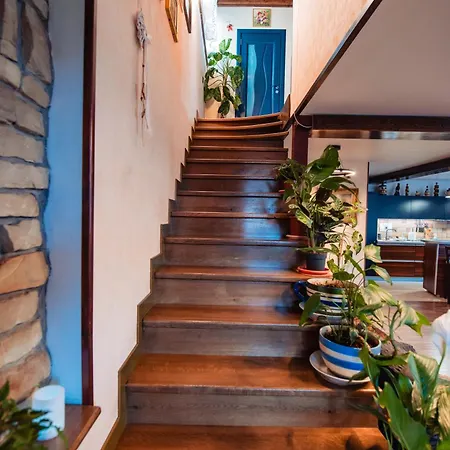 Villa Ilmar House